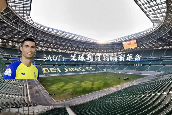 SAOT:足球判罚的精密革命